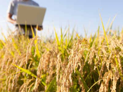CADEIAS PRODUTIVAS DO AGRONEGÓCIO